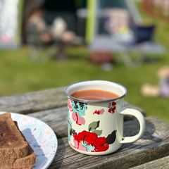 13 Family Adventure Ideas On A Small Budget
