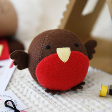 Make Your Own Robin Craft Kit