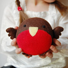 Make Your Own Robin Craft Kit - Clara and Macy